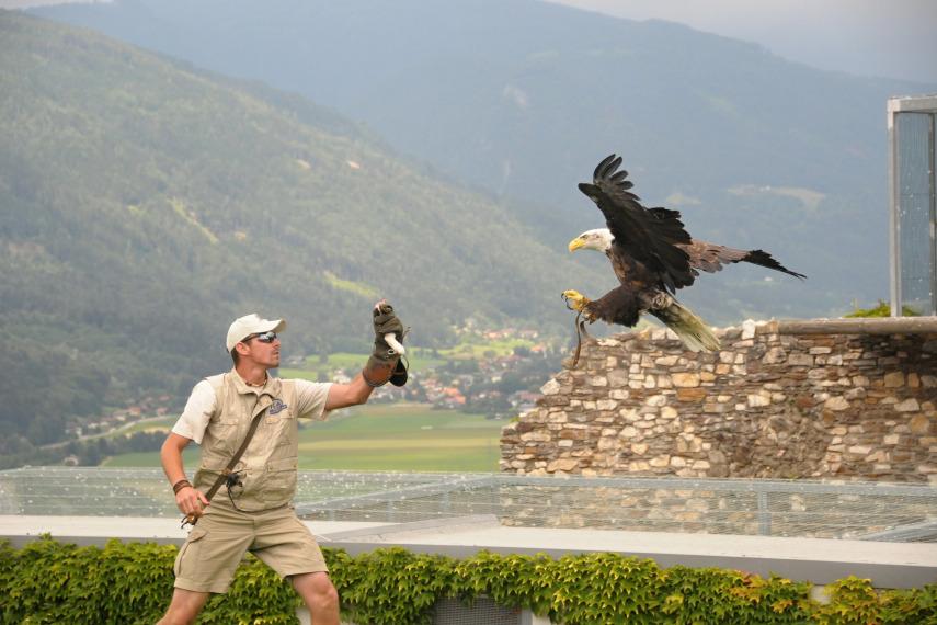 Adlerarena Landskron